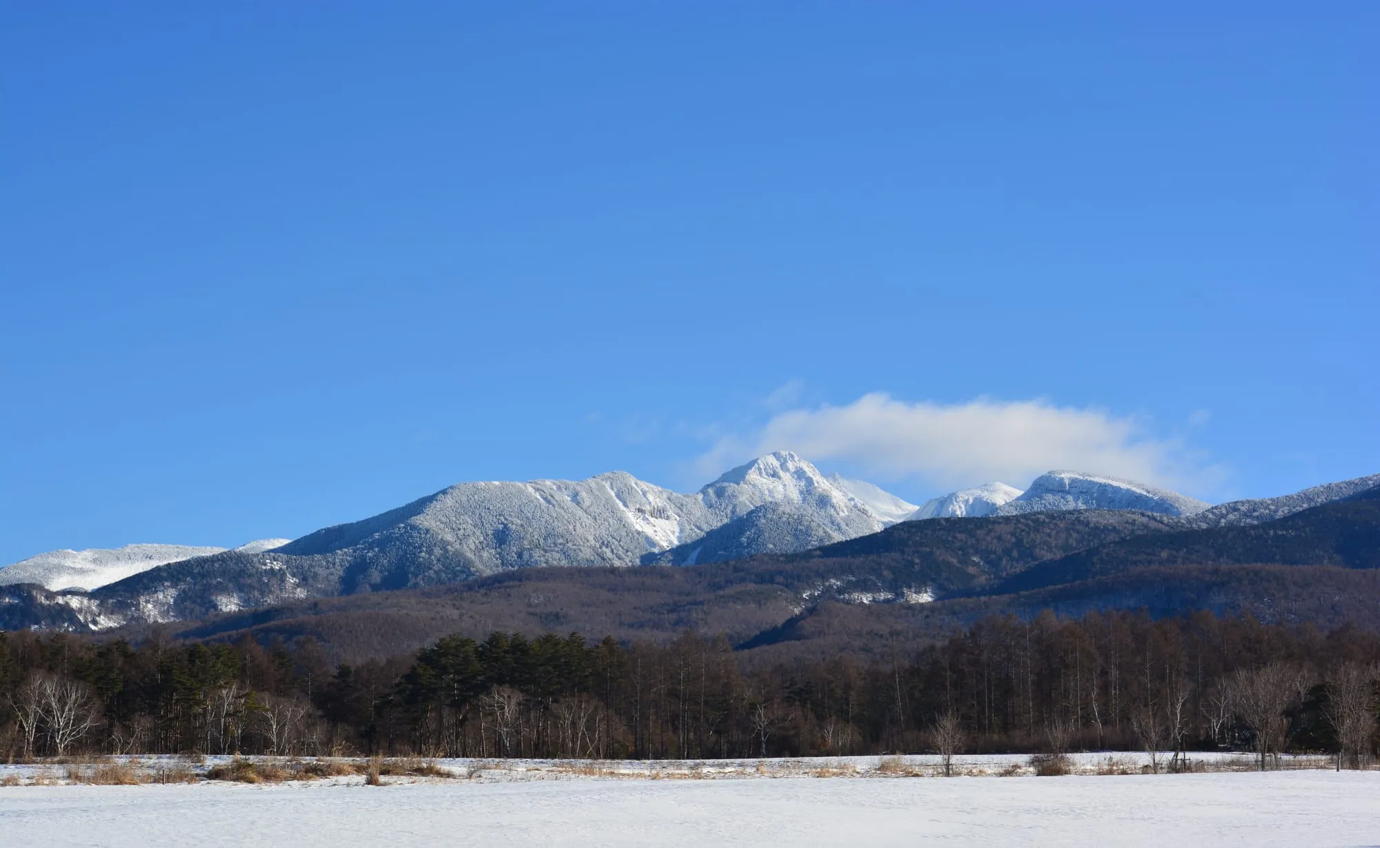 八ヶ岳の山並み