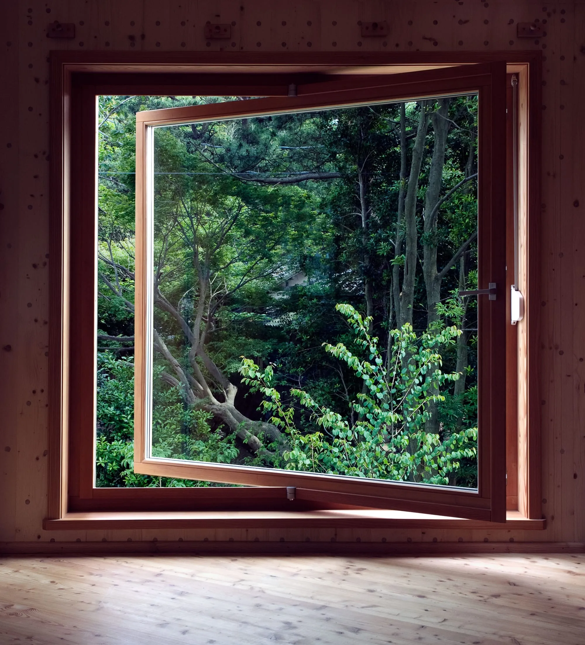 木枠の窓から見える自然の緑